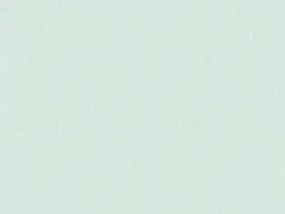 Erismann Nicole 60110-06 обои виниловые на флизелиновой основе