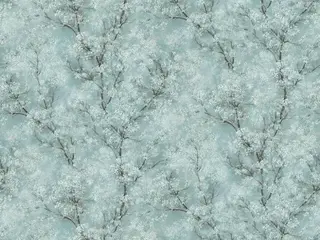 AS Creation Sakura 37542-3 обои виниловые на флизелиновой основе