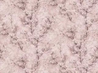 AS Creation Sakura 37542-4 обои виниловые на флизелиновой основе