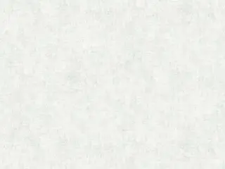 AS Creation Sakura 37543-1 обои виниловые на флизелиновой основе