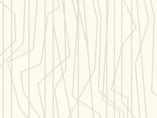 AS Creation Emotion Graphic 36878-3 обои виниловые на флизелиновой основе