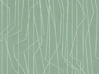 AS Creation Emotion Graphic 36878-5 обои виниловые на флизелиновой основе