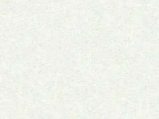 AS Creation New Elegance 37548-2 обои виниловые на флизелиновой основе
