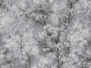 AS Creation New Walls 37420-1 обои виниловые на флизелиновой основе