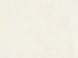 AS Creation New Walls 37425-1 обои виниловые на флизелиновой основе