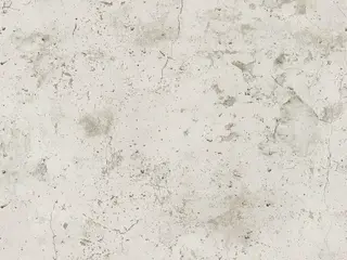 AS Creation New Walls 37429-2 обои виниловые на флизелиновой основе