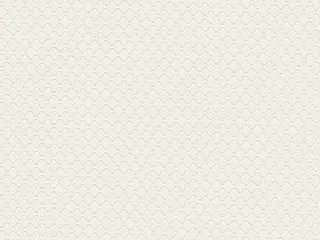 AS Creation Trendwall 37364-1 обои виниловые на флизелиновой основе