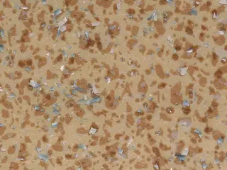 Tarkett Acczent Mineral AS линолеум коммерческий гетерогенный 1000 11 (3 м)