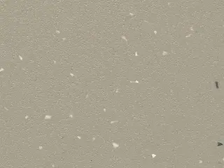 Forbo Surestep Star линолеум коммерческий гетерогенный 176772 Cement