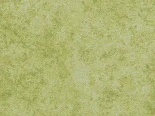 Forbo Flotex Colour флокированное ковровое покрытие Calgary Lime S290014
