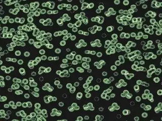 Forbo Flotex Sottsass флокированное ковровое покрытие Flotex Bacteria 990102