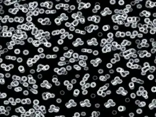 Forbo Flotex Sottsass флокированное ковровое покрытие Flotex Bacteria 990106