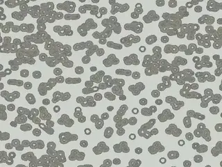 Forbo Flotex Sottsass флокированное ковровое покрытие Flotex Bacteria 990201