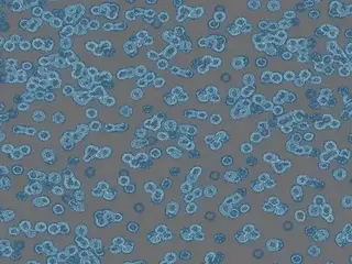 Forbo Flotex Sottsass флокированное ковровое покрытие Flotex Bacteria 990303