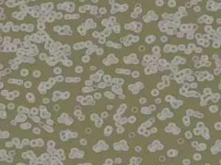 Forbo Flotex Sottsass флокированное ковровое покрытие Flotex Bacteria 990401