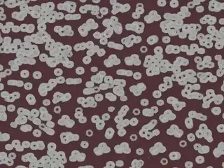 Forbo Flotex Sottsass флокированное ковровое покрытие Flotex Bacteria 990402