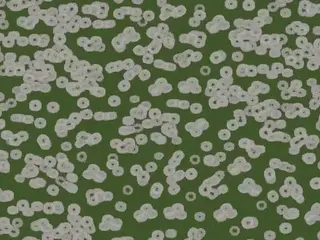 Forbo Flotex Sottsass флокированное ковровое покрытие Flotex Bacteria 990403