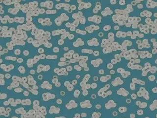 Forbo Flotex Sottsass флокированное ковровое покрытие Flotex Bacteria 990404