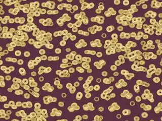 Forbo Flotex Sottsass флокированное ковровое покрытие Flotex Bacteria 990501