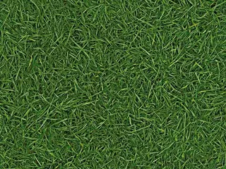 IVC Smart Neo линолеум бытовой Grass 25 (3 м)