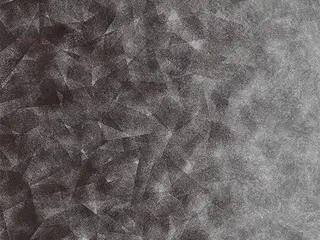 Forbo Flotex by Starck флокированное ковровое покрытие Artist 324008