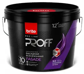 Brite Professional акриловая краска фасадная всесезонная